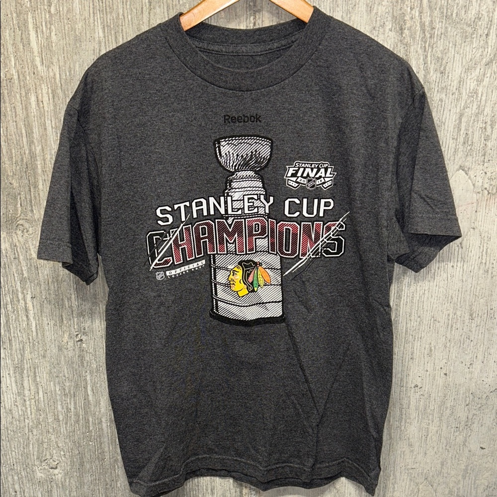 Reebok Chicago Blackhawks 2015 Stanley Cup Champions Tee - Gray Medium